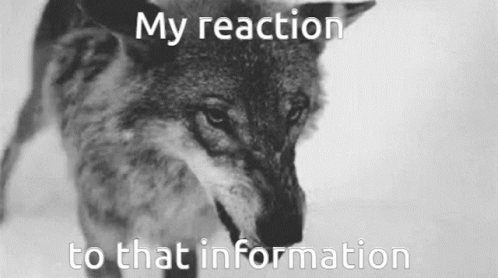 My Reaction To That Information Wolf GIF - My Reaction To That Information Wolf Wolf Growl GIFs