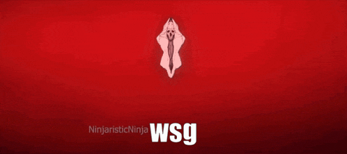 a squid is flying through the air in front of a red background with the word wsg written on it .