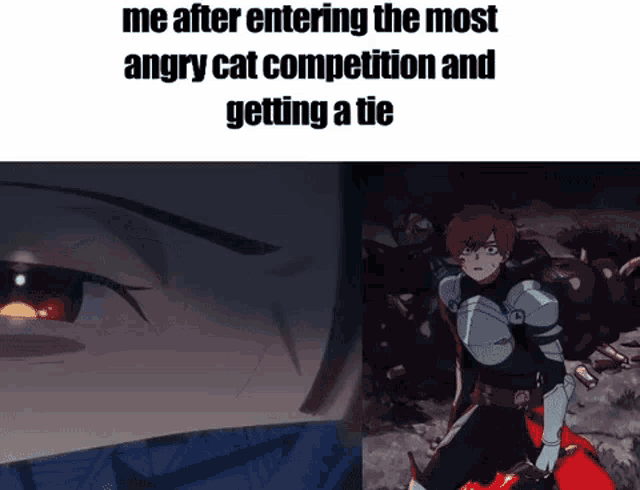 me after entering the most angry cat competition and getting a tie meme