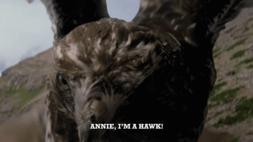 Netflix Maniac GIF - Netflix Maniac Annie Im A Hawk GIFs