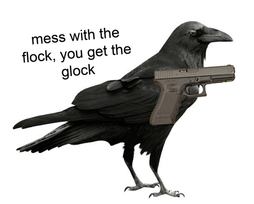 Mess With The Flock You Get The Glock Crow GIF - Mess With The Flock You Get The Glock Crow Glock GIFs