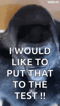 a gorilla is saying i would like to put that to the test !