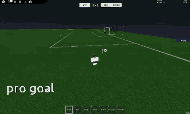 a computer screen shows a soccer game with the words pro goal at the bottom