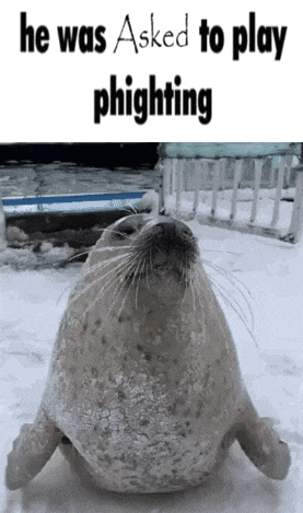 a seal in the snow with the words he was asked to play phighting on the bottom