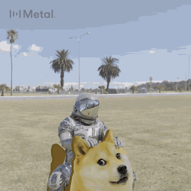 Dogecoin Doge Rocket GIF - Dogecoin Doge Doge Rocket GIFs