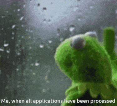 a kermit the frog looking out a window with the words me when all applications have been processed