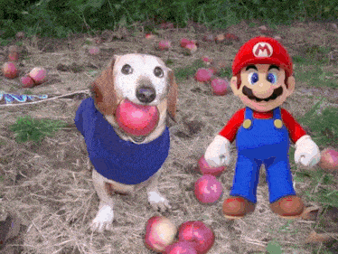 a dog is holding an apple next to a mario figure