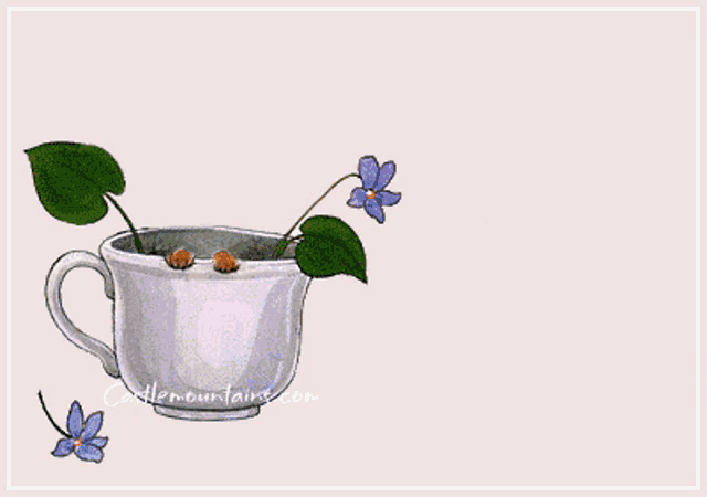 Peek A Boo Mouse Cup GIF