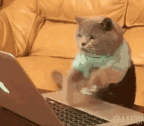 10 Gifs of Hilarious Cats That Will Have You Laughing All day