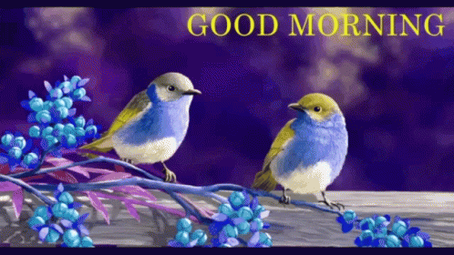 Good Morning Friends GIF - Good Morning Friends Birds GIFs