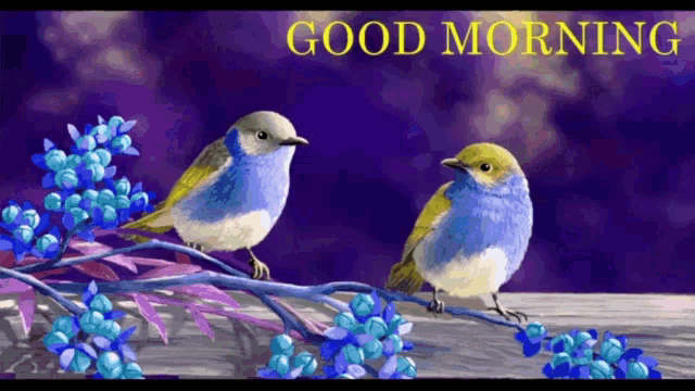a couple of birds sitting on a branch with the words good morning written on the bottom