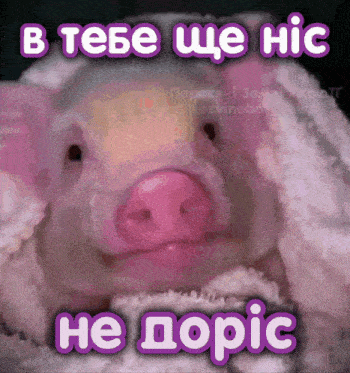 a picture of a pig with a caption that says " he dopic "