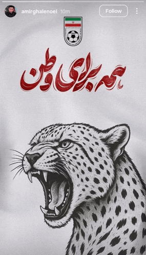 a drawing of a leopard with a soccer ball on it