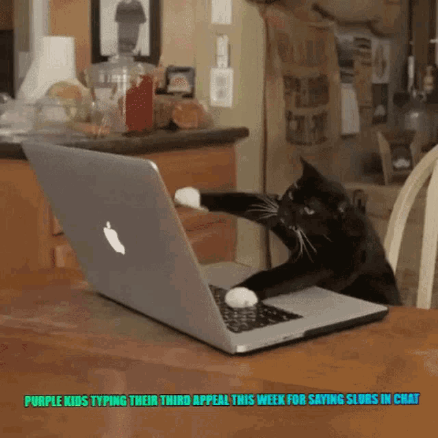a black cat is typing on an apple laptop