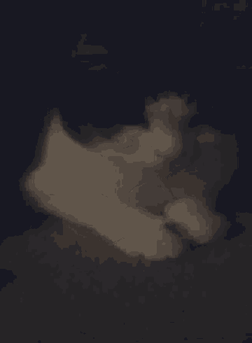 a close up of a black and white cat sleeping in the dark