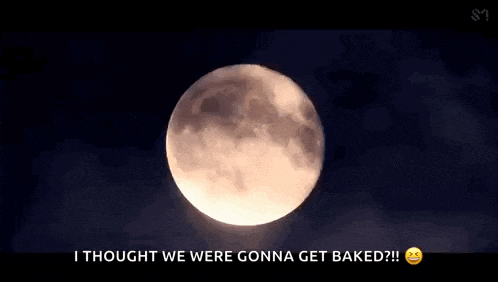 a full moon is visible in the night sky with the words `` i thought we were gonna get baked '' written below it .