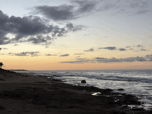a sunset over a beach with a palm tree in the foreground