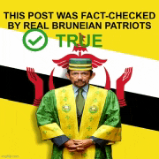 a man in a green and yellow robe is standing in front of a flag that says true on it