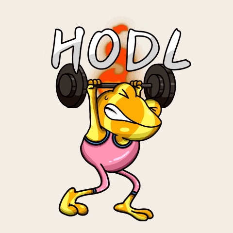 a cartoon of a frog lifting a barbell with the word hodl on the bottom