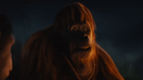 a close up of a monkey 's face with long hair
