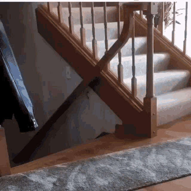Cat Leap GIF - Cat Leap Attack Dog GIFs