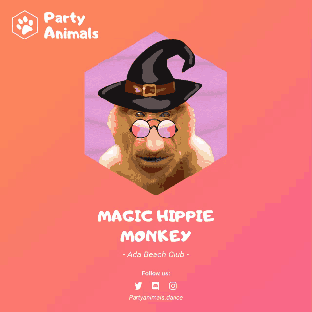 a picture of a monkey wearing a witch hat and glasses with the words magic hippie monkey below it