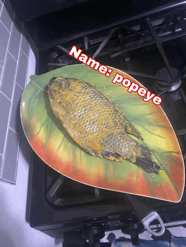 a leaf shaped plate with a fish on it that says name : popeye