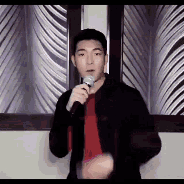 a man in a black jacket is singing into a microphone while standing in front of a window .
