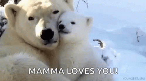 Mama Bear GIF - Mama Bear Hug GIFs
