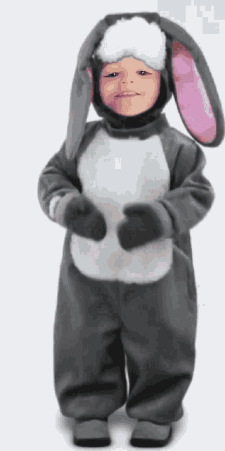 a little boy dressed in a bunny costume with a pink ear