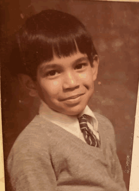 a young boy wearing a sweater and tie is smiling