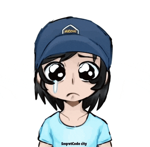 a drawing of a girl wearing a meow hat and a secretcode city shirt