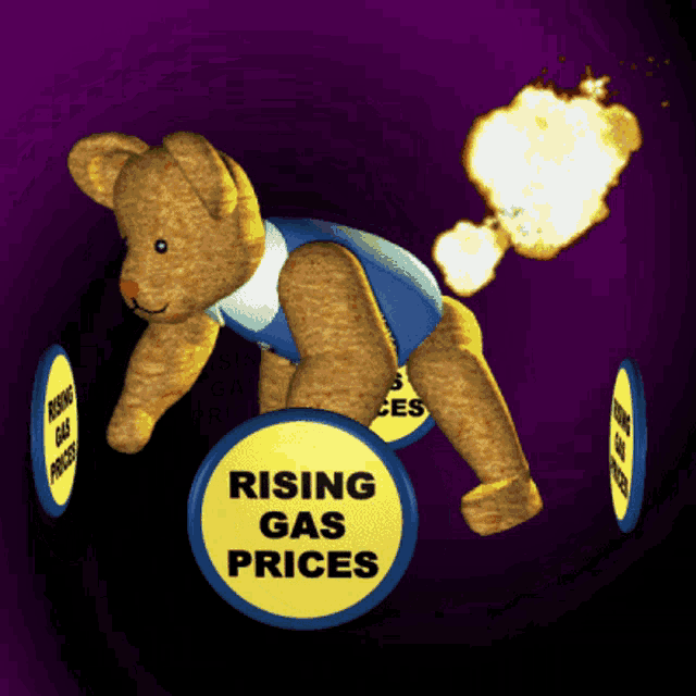 a teddy bear with rising gas prices written on a sign