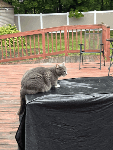 a cat sitting on top of a black table cloth on a deck