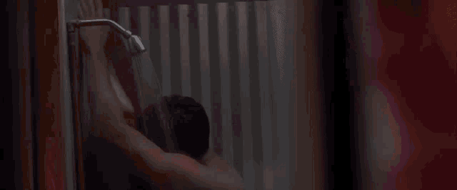 a man and a woman are kissing in a shower behind a curtain .