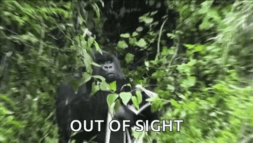 Gorilla Hiding GIF