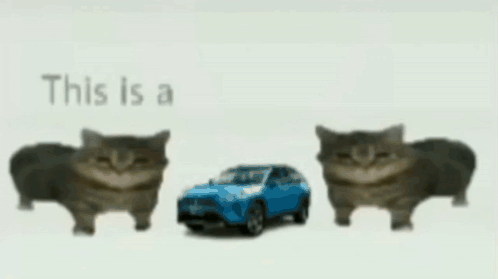 Toyota Cat Meme GIF - Toyota Cat Meme GIFs