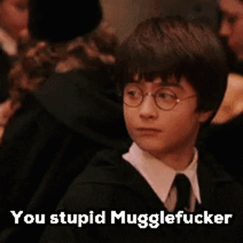 Muggle Harry Potter GIF - Muggle Harry Potter GIFs