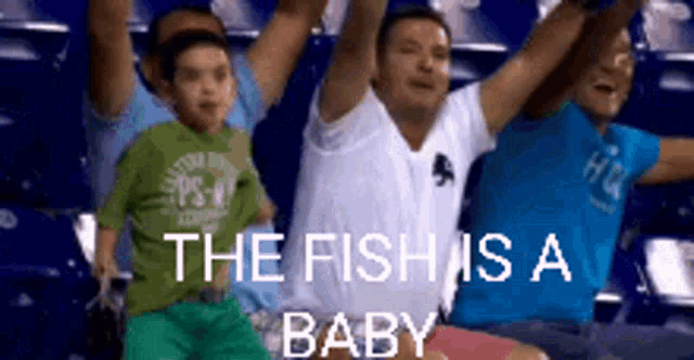 a group of men are sitting in a stadium with their arms in the air and the words " the fish is a baby "