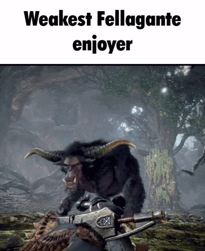 a screenshot of a video game with the caption " weakest fellagante enjoyer " at the top