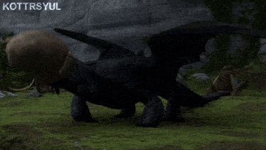 a picture of toothless from how to train your dragon with the name kottrsyul
