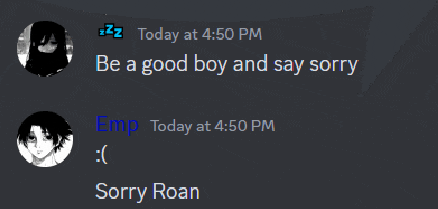 a screenshot of a conversation between two people with one saying " be a good boy and say sorry sorry roan "
