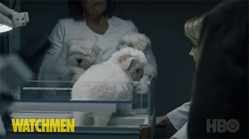 Puppies Cute GIF - Puppies Cute Adorable GIFs