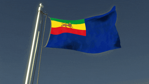 a blue yellow red and green flag with a lion on it is waving in the wind