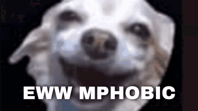 a blurred picture of a dog with the words eww mphobic below it