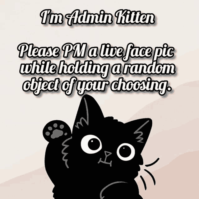 Miss Kitten GIF - Miss Kitten Admin GIFs