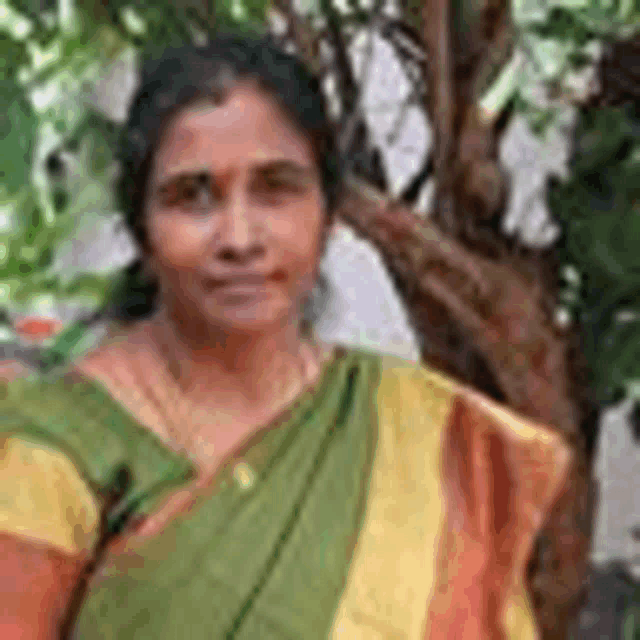 a woman is standing in front of a tree wearing a green and yellow sari .