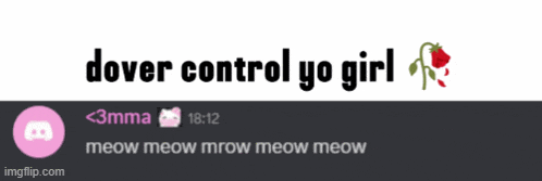 a screenshot of a discord chat with the words dover control yo girl