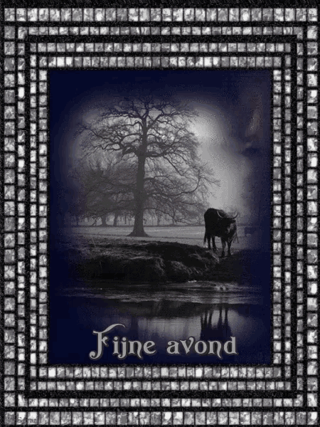 a black and white photo with the words fijne avond written on it