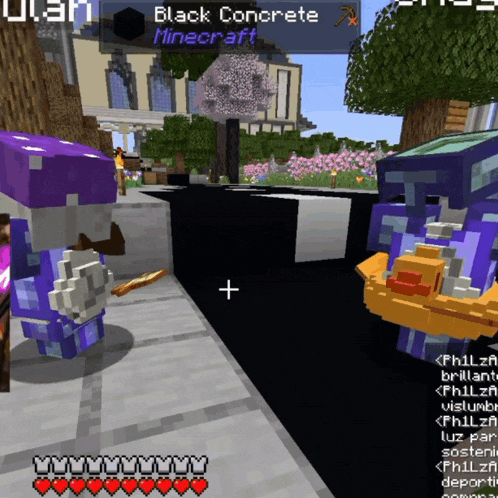 a screenshot of a video game called black concrete minecraft with purple characters